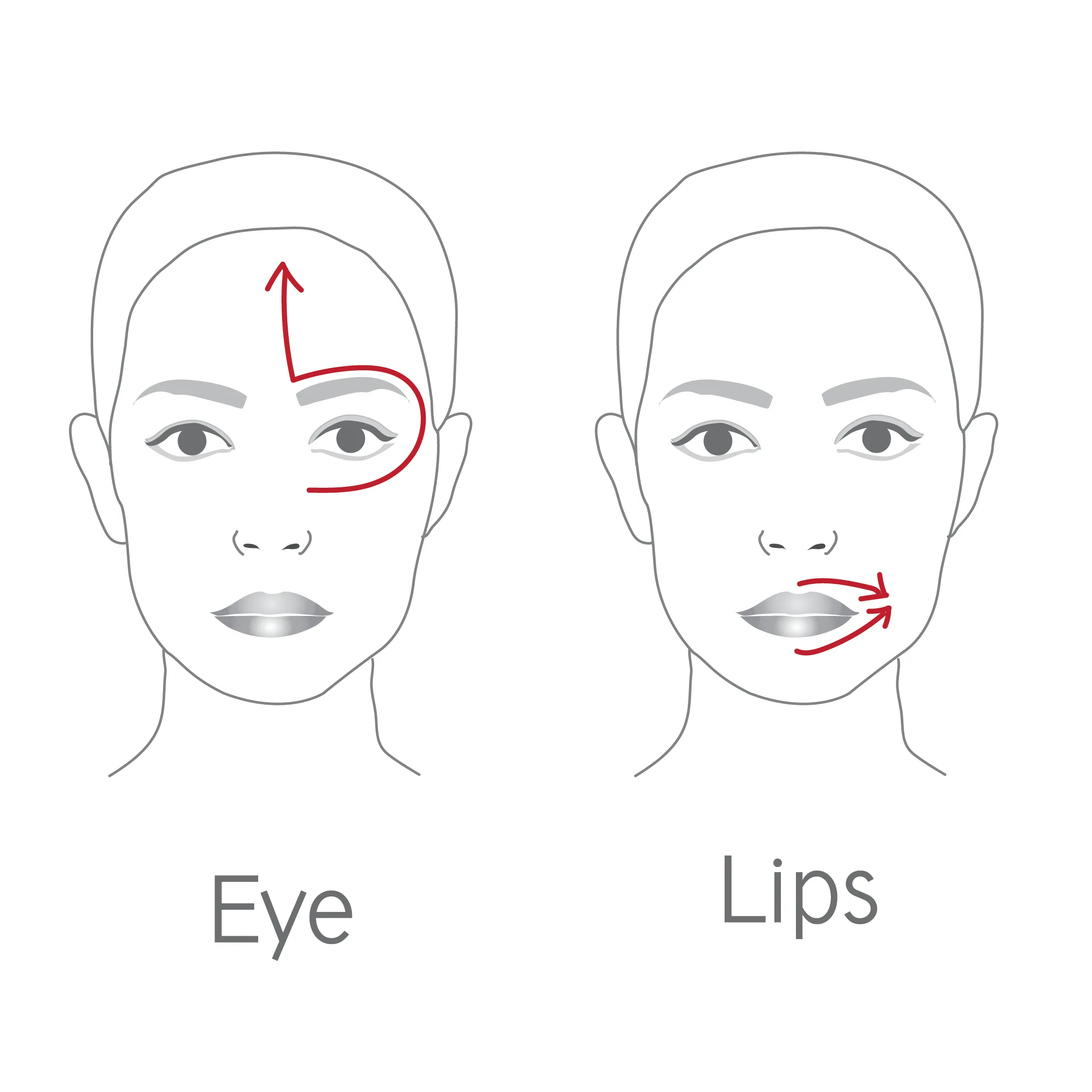 Dr Levy The Contour Pro